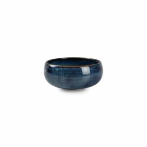 Bol 14xH6,5cm globe blue Nova F2D